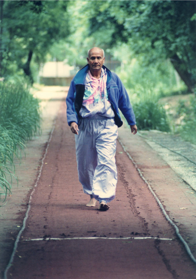 The Drop and the Ocean - Stories by Sri Chinmoy's students